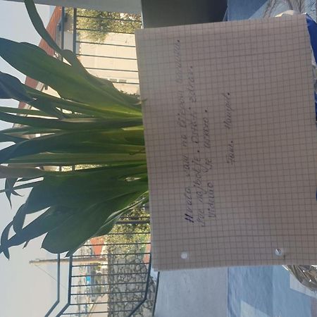 נובי ווינודולסקי Apartment Goran מראה חיצוני תמונה