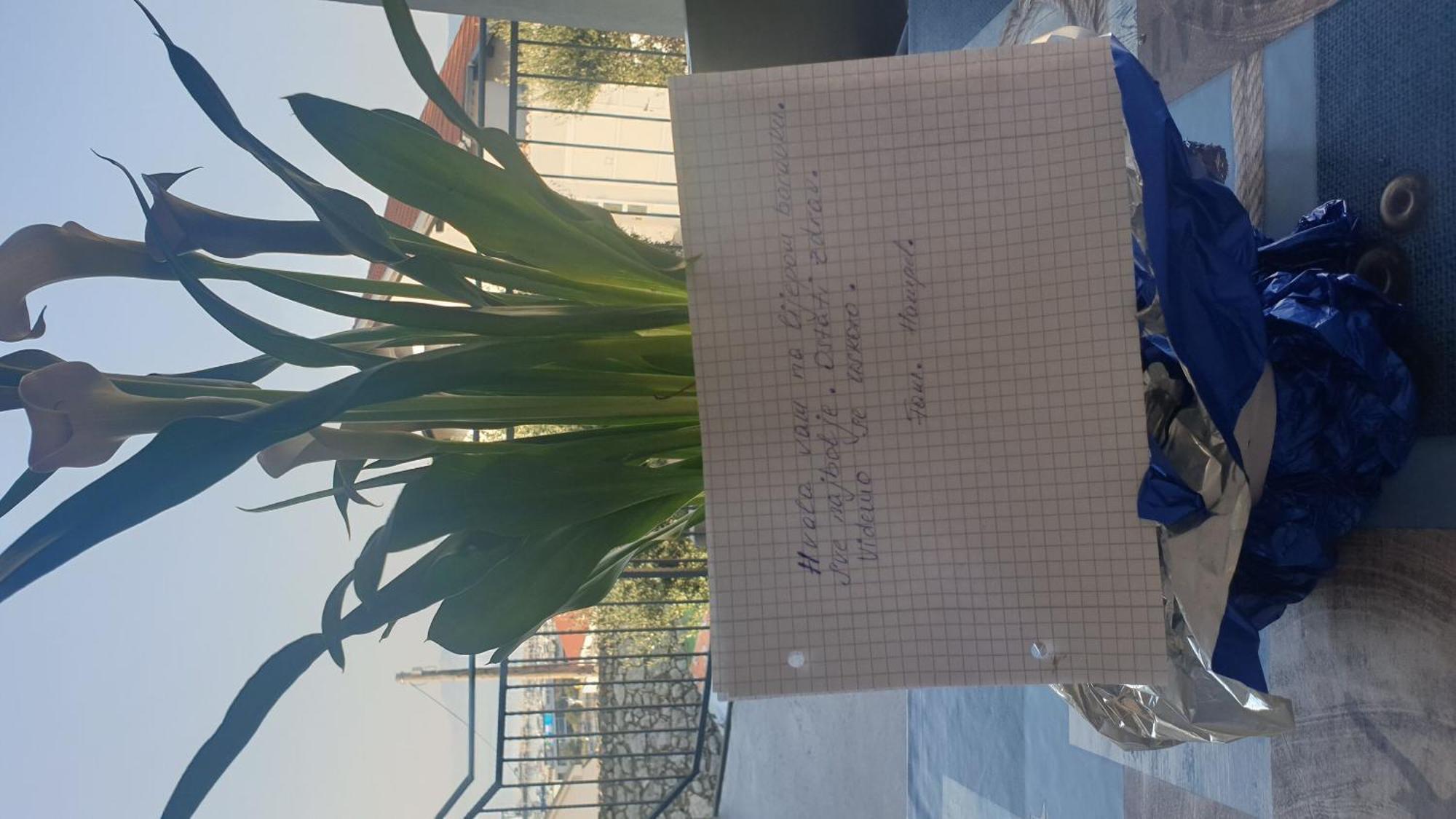 נובי ווינודולסקי Apartment Goran מראה חיצוני תמונה